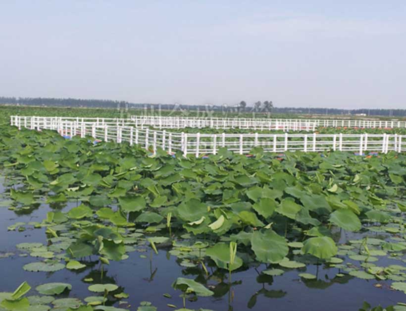 江蘇荷花池水上浮橋