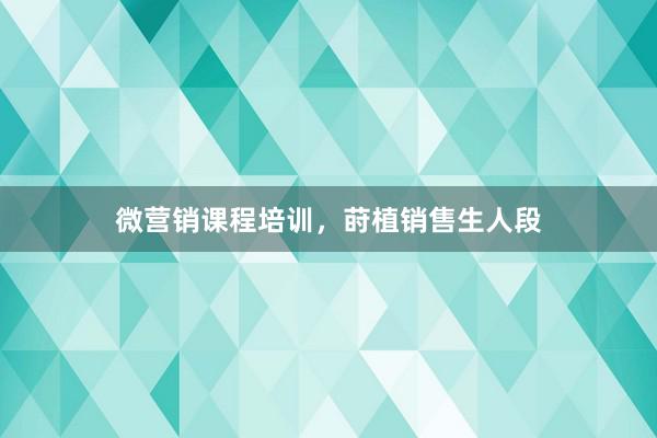 微营销课程培训，莳植销售生人段